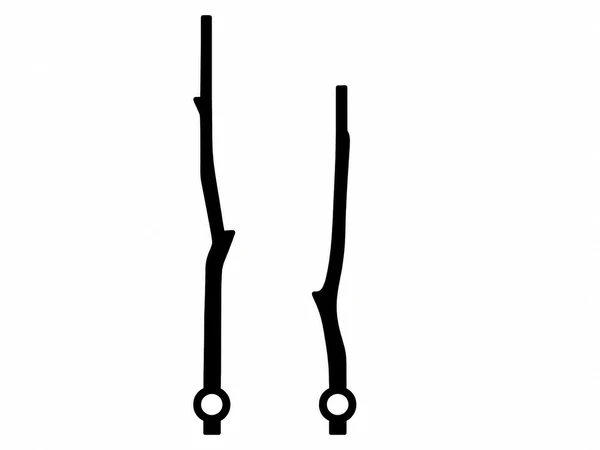 小枝の針
